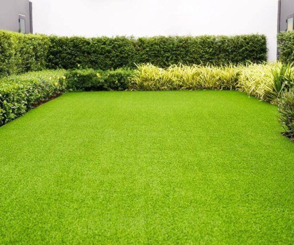 Artificial Turf in Hyderabad